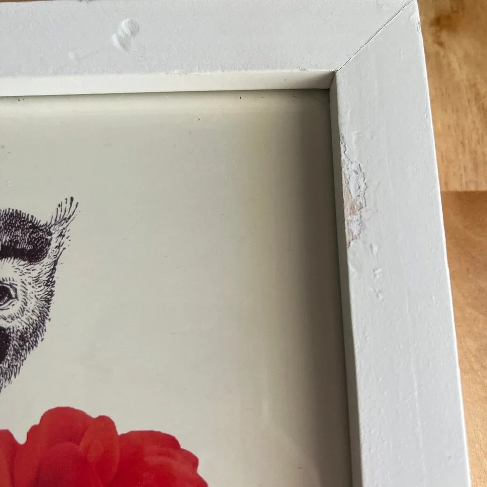 Urban Outfitters Framed Art - Picture 6 of 8